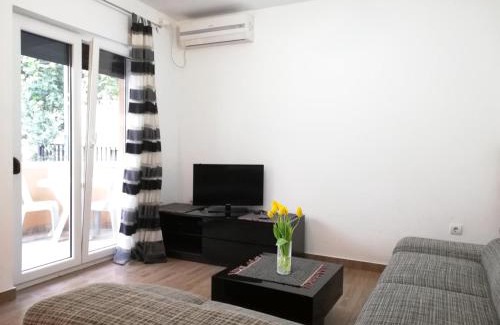 Velji Vinogradi Apartment | Apartment Grape of Budva