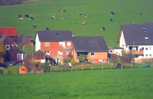 Brilon Apartment | Apartment 'Hammerschmidt' with Balcony and Wi-Fi