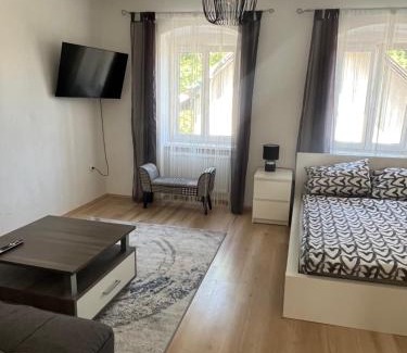 Gmunden Apartment | Apartment in Gmunden