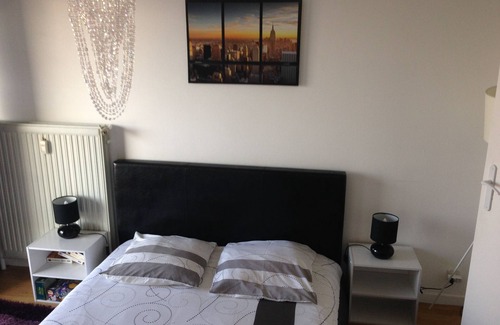 Schiltigheim Apartment | Apartment near European institutions