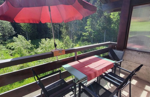 Giswil Apartment | Apartment "Pistenblick" with a view of the mountains