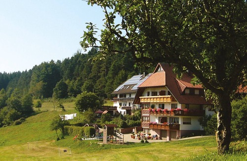 Elzach Apartment | Apartment 'Schlössle, 22 sqm' with Shared Terrace, Shared Garden and Wi-Fi