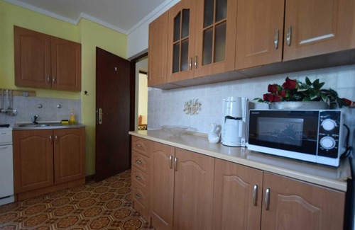 Vantacici Apartment | Apartment Skender with terrace
