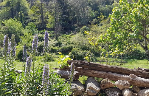 Mela Apartment | Apartment / Studio in the mountains with covered terrace for 2 people in Corsica