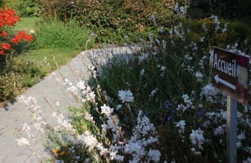 Plumergat Apartment | Apartment-Superior-Ensuite with Bath-Garden view-Au Rez-de-chaussee