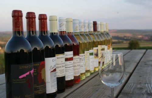 Gau-Weinheim Apartment | Apartment Terrasse