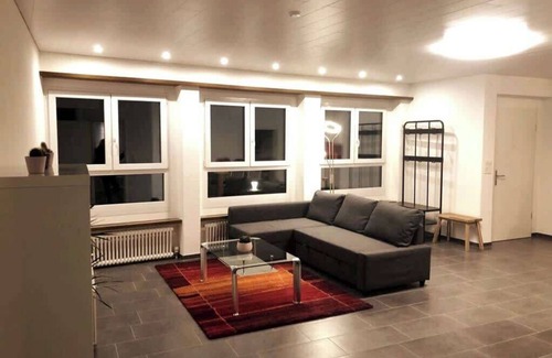 Rorschach Apartment | Apartment with shower - washing machine - 180 degree lake view