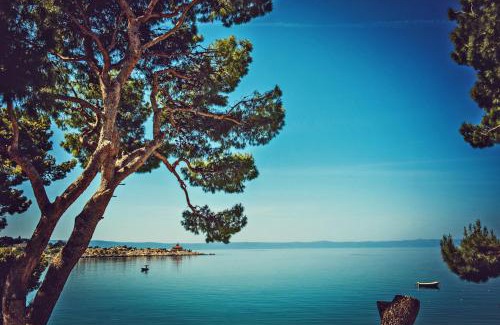 Donja luka Apartment | Apartments Beach