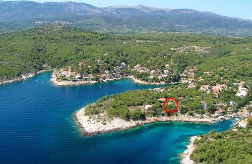Cove Basina (Jelsa) Apartment | Apartments by the sea Mudri Dolac, Hvar - 595