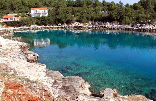 Cove Basina (Jelsa) Apartment | Apartments by the sea Mudri Dolac, Hvar - 595