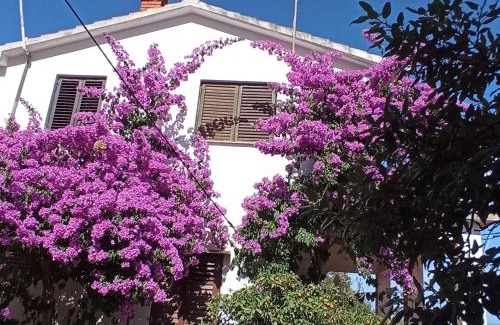 Cove Basina (Jelsa) Apartment | Apartments by the sea Basina, Hvar - 4620