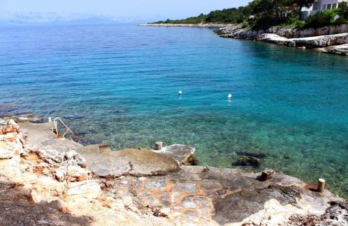 Cove Basina (Jelsa) Apartment | Apartments by the sea Basina, Hvar - 11923