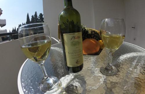 Velji Vinogradi Apartment | Apartments Central