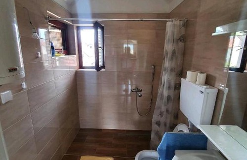 Bajina Basta Apartment | Apartments D&S Bajina Basta with barbicue