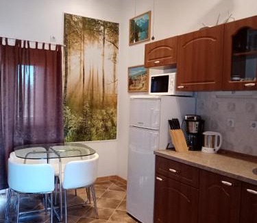 Stari Grad Apartment | Apartments Ivanković