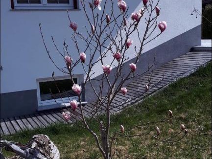 Reutte Apartment | Apartments Schöll