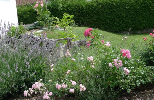 Reutte Apartment | Apartments Schöll