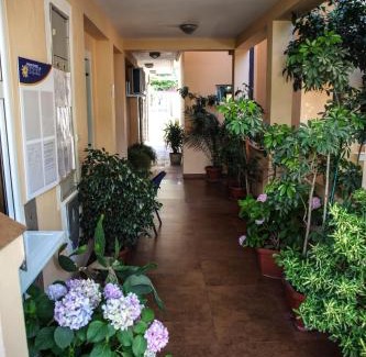 Velji Vinogradi Apartment | Apartments Stari Ribar
