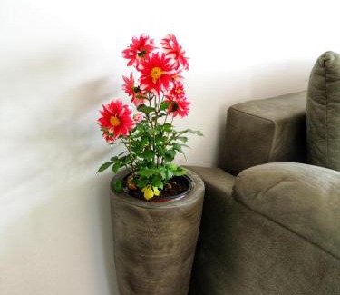 Tomicici Apartment | Apartments Tivat