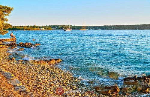 Cove Makarac (Milna) Apartment | Apartments - Villa Ana