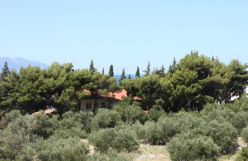 Gradac Apartment | Apartments with a parking space Gradac, Makarska - 6881