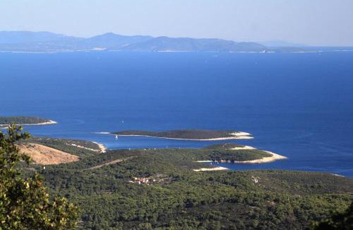 Rukavac Apartment | Apartments with parking space Rukavac, Vis - 2407