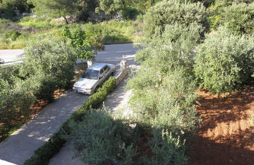 Muline Apartment | Apartments Zlatko (10444-A1) - Ugljan