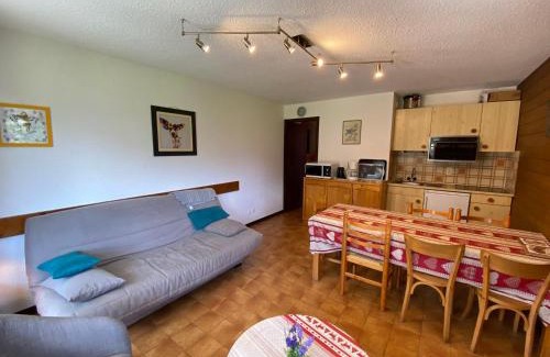 La Chapelle-d'Abondance Apartment | Appartement cosy au cœur du village avec Multi Pass et balcon sud - FR-1-692-23