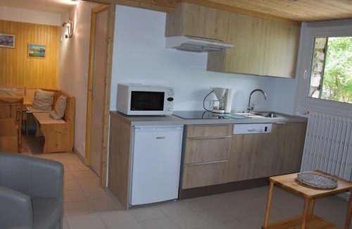 Pralognan-la-Vanoise Apartment | Appartement 2 pièces avec terrasse et jardin privatif, calme, proche commerces et pistes de ski - FR-1-464-184