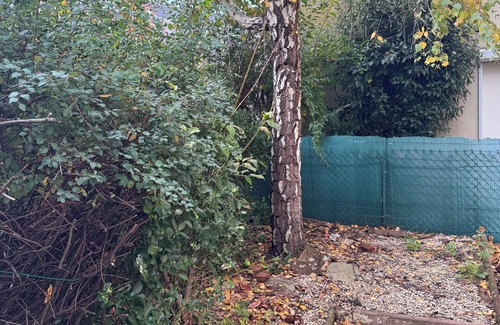 Kingersheim Apartment | Appartement Cosy du Kaligone