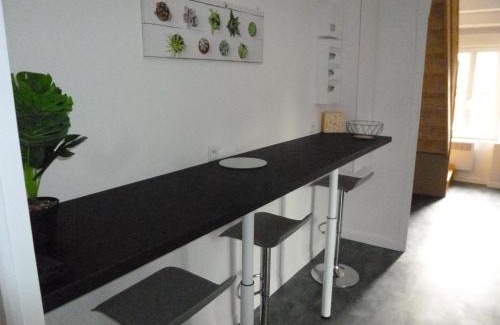 Bonnieres-sur-Seine Apartment | Appartement duplex 3 chambre 85m2