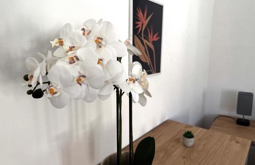 Evreux Apartment | Appartement lumineux Évreux centre