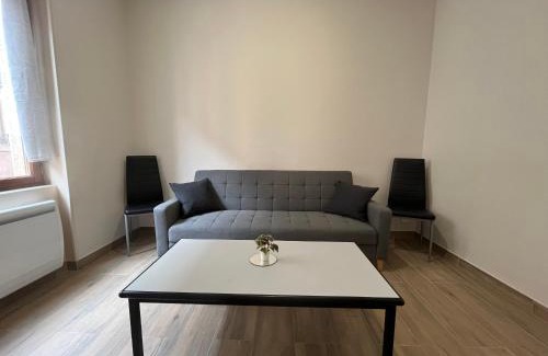 Saint-Fons Apartment | Appartement rénové à 15 min de Lyon