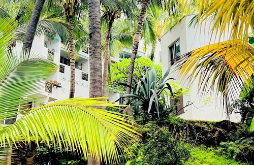 Boucan Canot Apartment | Appartement T2 Le Letchi 44 m2 Saint Gilles - Boucan Canot à 300m de la Plage