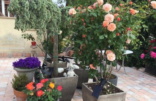 Villerville Apartment | Appartement terrasse face mer