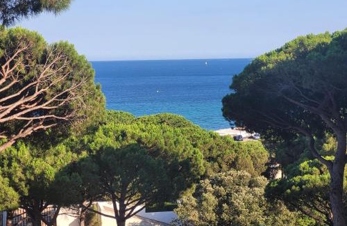 La Nartelle Apartment | APPARTEMENT VUE MER 200 M DES PLAGES - DJUMBO