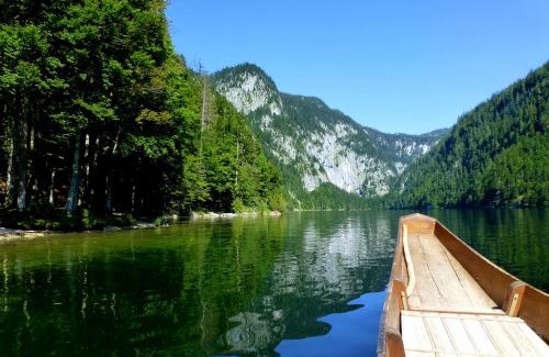 Gosau Apartment | Appartment Almenliesl