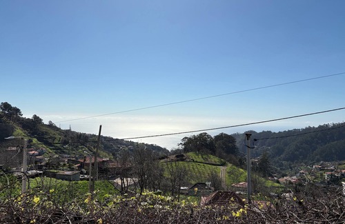 Camara de Lobos House | Apt in typical Madeiran house in the mountains.