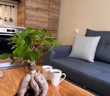 Termenades House | Aroma Elias