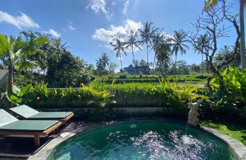 Tegallalang Resort | Arvanya Villa Ubud