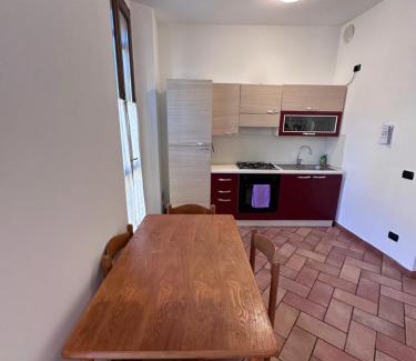 Cremona Apartment | Aselli Palace