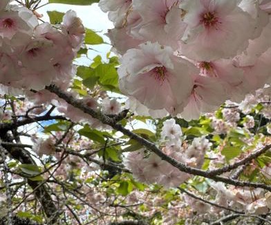 Athol Bed & Breakfast | Athol Country Bed & Breakfast