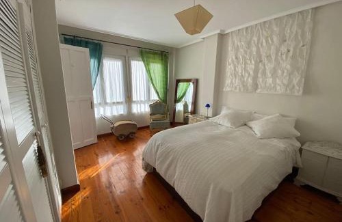 Zaragoza Centro Apartment | Atico lira