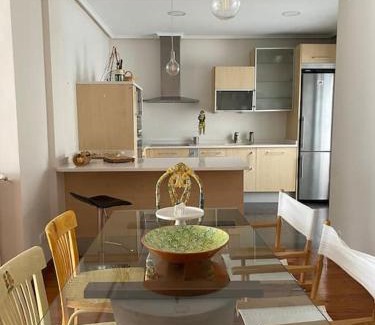 Zaragoza Centro Apartment | Atico lira