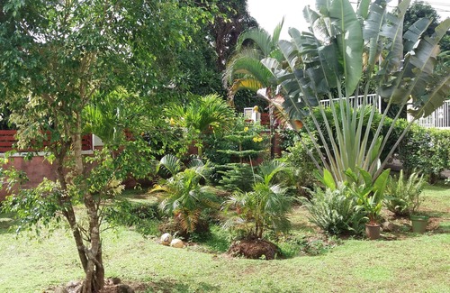 Capesterre-Belle-Eau Villa | atlantic villa 3 bedrooms 10 people