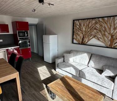 Les Deux Alpes Apartment | Au Myosotis, cosy au pied des pistes avec vue et cœur de station