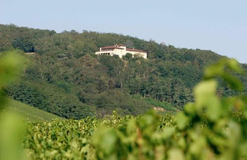 Chenas Hotel | Auberge Les Hauts De Chenas