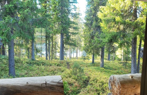 Rukatunturi Cabin | Authentic Lapland Log Cabin, Private Sauna & Fireplace & Northern Lights in Ruka