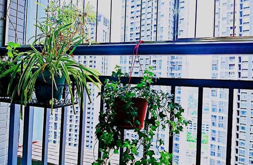Futian Apartment | Avatar Gallery Large Queen Bed & High Rise View