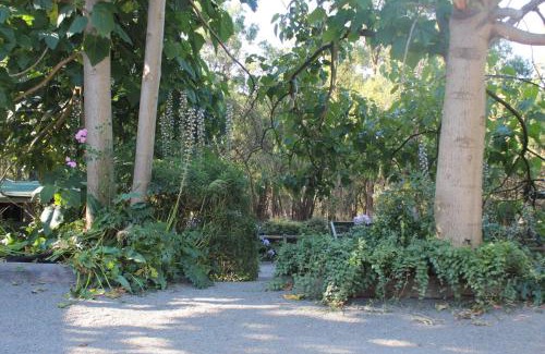 Macclesfield House | Avoca Park Equestrian Farmstay